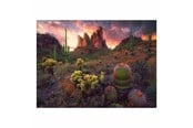 Pusselspel - Ravensburger Jigsaw puzzle Cactus 500 pcs. Golv - 12001380