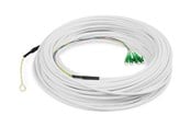 Nätverkskabel - DIGITUS network cable - 50 m - white - Vit - 50m - DK-3904LCA-50