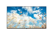 Digital skyltning & Hotell - LG 65UM767H0LJ UM767H Series - 65" - Pro:Centric with Integrated Pro:Idiom LED-backlit LCD TV - 4K - for hotel / hospitality - 65UM767H0LJ