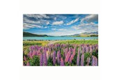 Pusselspel - Clementoni Jigsaw Puzzle Flowers at Lake Tekapo 1500pcs. Golv - 31728