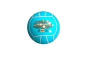 Fotboll och bollspel - Schreuder Beach bold  Ø:21cm. 280 gr. +3år PVC - 26023
