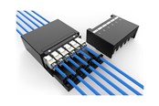 Nätverks tillbehör - DIGITUS consolidation point box - keystone modules with intelligent cable manager - DN-93708-6