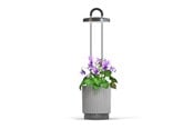 Trädgårdsredskap - Click & Grow HydroVase Indoor Plant Care Kit with LED Light Self-Watering and Automatic Timer - Gray - CGHVGEU