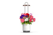 Trädgårdsredskap - Click & Grow HydroVase Grow Fresh Plants Indoors All Year Round with LED Lighting and Self-Watering System - White - CGHVWEU