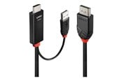 Displaykabel - Lindy adapter cable - 2 m - 41499
