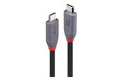 USB-kabel - Lindy Anthra Line - USB-C cable - 24 pin USB-C to 24 pin USB-C - 2 m - 36958