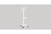 Tv-tilbehor - Gembird TV floor stand with caster wheels 32"" - 55"" - TVS-55T-03-W