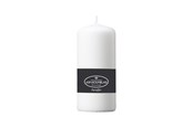Decoration - Asp-Holmblad Blockljus Ice White - 350-257005-10