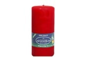Decoration - Asp-Holmblad Miljövänliga blockljus Deep Red - 70791