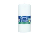 Decoration - Asp-Holmblad Miljövänliga blockljus White - 71710
