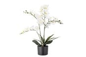Decoration - Bloomingville Orchid - 82061501