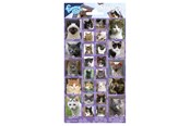 Hobby Tillbehör - Totum - Sticker sheet Cats - 100668