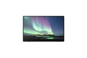 Skärm - 15.6" Ricoh 150BW - OLED monitor - Full HD (1080p) - 514910