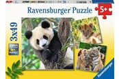 Pusselspel - Ravensburger Panda Lion And Tiger 3x49p - 05666
