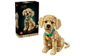 LEGO® - LEGO Icons 11384 Golden retriever-valp - 11384