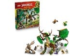 Lekkök och tillbehör - LEGO Livets källdrake - 71859