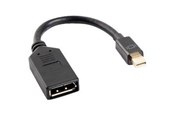 Displaykabel - Lanberg DisplayPort adapter - 12 cm - AD-0003-BK