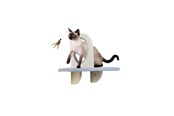 Katter - AFP - Skywalk Groom & Play Platform - Wall-mounted - 2271