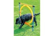 Hundar - Pawise - Agility Ring 55Cm - 636.9004
