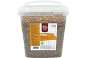 Fågelmat, snacks och vitaminer - Hobby First - Pure Mealworms - 850g - 5400515011532
