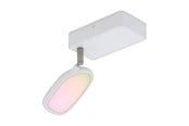Lampor - EGLO PALOMBARE-C SPOT RGBTW 600LM VIT - 97691