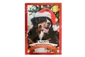 Hundar - Treat Time Jul-Adventskalender för Hundar - 61000