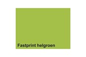 Papper, Fotopapper & Etiketter - Quantore - Copy paper Fastprint A4 80gr bright green 100 sheets - 129675