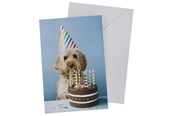 Hobby Tillbehör - SCANSEASON Card with envelope dog with cake 11*17cm - 100253