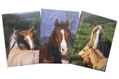 Papper, Fotopapper & Etiketter - Hobby Mate Notebook A5 126*180mm. Horse motif.100254 - 100254-H