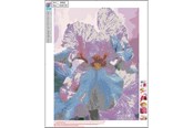 Hobby Tillbehör - CENTRUM Diamond Painting 40*50cm. FLOWERS - 80902
