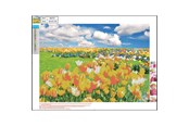 Hobby Tillbehör - CENTRUM Diamond Painting 30*40cm. Tulip field - 89757