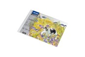 Hobby Tillbehör - SPREE Drawing pad 350g. 10 sheets. A5 210*150mm. - 41915