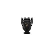 Parfym och dofter - PACO RABANNE Invictus Victory Absolu - 50 ml - 3349668641826