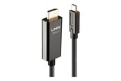 Displaykabel - Lindy adapter cable - HDMI / USB - 10 m - 43317