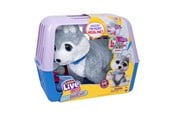 Plush - Little Live Pets OUCHIES HUSKY - 26680