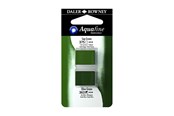 Konst- och hantverksmaterial - Daler-Rowney Aquafine HP Sap Green/Olive Green - 16-131017016