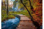 Pusselspel - Ravensburger Autumnal wood trail (1000) - 12001764