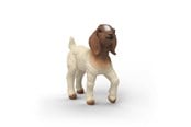 Schleich - Schleich Boer Goat Kid - 14930
