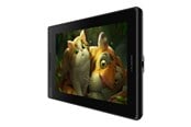 Ritningsplatta / Digitizer - Huion Kamvas Pro 13 - GT133