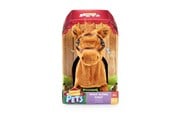 Plush - Happy Pets Walk Along Pony - 602575