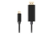 Displaykabel - Lanberg - USB-C / DisplayPort adapter - USB-C to DisplayPort - 3 m - CA-CMDP-10CU-0030-BK