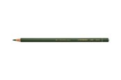 Skriv- och ritverktyg - STABILO ALL - coloured pencil - green - 8043
