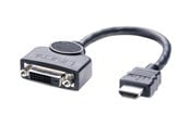 Displaykabel - Lindy adapter - 20 cm - 41227