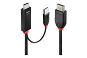 Displaykabel - Lindy adapter cable - 1 m - 41498