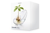 Decoration - Mikamax Avocado Vase - 05198