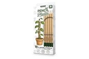 Decoration - Mikamax Pencil Planter - 05203