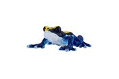 Figure - Mojo Wildlife Poison Dart Frog Blue - 381069