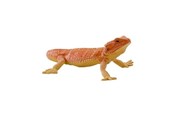 Figure - Mojo Wildlife Bearded Dragon - 381096