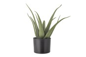 Decoration - Bloomingville Aloe - 82061499
