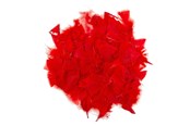 Konst- och hantverksmaterial - Colorations - Red Feathers 25 grams - CHREDF25